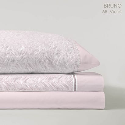 JCPASATABRUNOVIOLETICE2